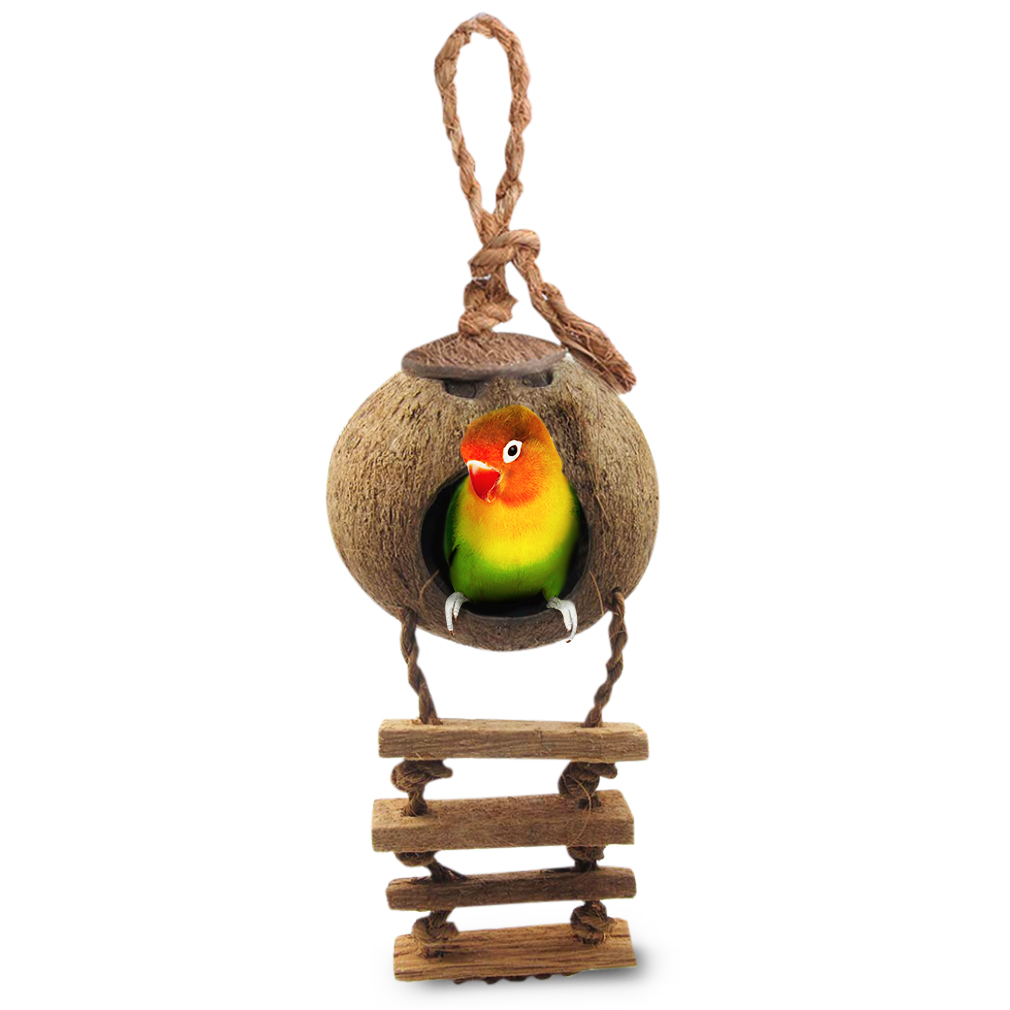 Mini Condo for Avians 100/% Raw Coconut Husk Coco Texture Encourage Foot and Beak Exercise SunGrow Bird House with Ladder Nesting Home and Bird Feeder Durable Habitat with Hanging Loop